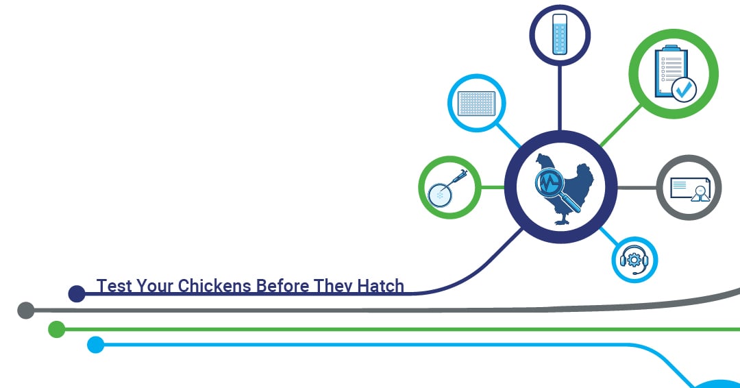 Avian Suite Launch Graphic