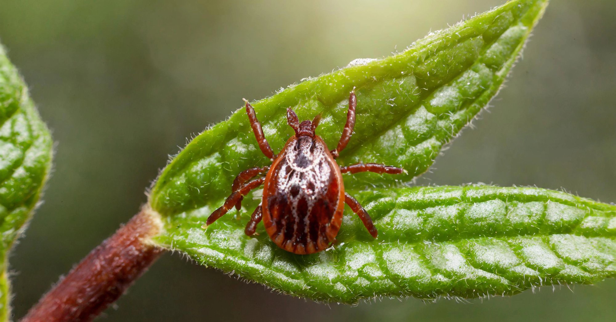 Depositphotos_719101038_XL-2